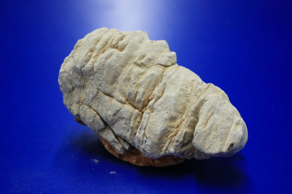 Colorado Stein Unterschiedliche Farb- Und Form-Spektren Per 1kg 3 Colorado Stein Unterschiedliche Farb- Und Form-Spektren Per 1kg