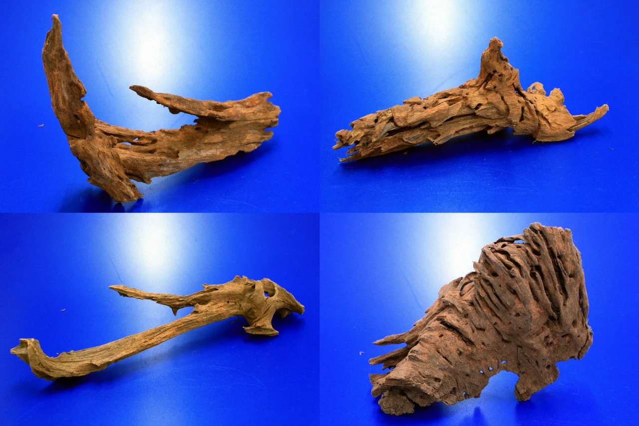 Mangroven-Wurzel Gr. S / 15 - 20 Cm Nano-Mangrovenholz 3 Mangroven-Wurzel Gr. S / 15 - 20 Cm Nano-Mangrovenholz