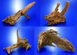 Mangroven-Wurzel Gr. XXL / 50 - 60 Cm Mangrovenholz