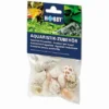 Hobby Sea Shell Set M - 10 Stk. - Natürliche Schneckenhäuser 2 Hobby Sea Shell Set M - 10 Stk. - Natürliche Schneckenhäuser -Hobby || DENNERLE || Flamingo Verkäufe 40222HO 1 2