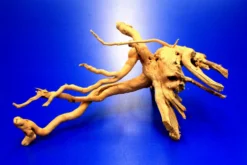 Moorwurzel/Moorkienholz, Gr. S Traumwurzel 20-30cm -Hobby || DENNERLE || Flamingo Verkäufe 4080070AD 1 10