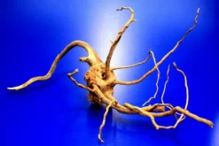 Moorwurzel/Moorkienholz, Gr. S Traumwurzel 20-30cm -Hobby || DENNERLE || Flamingo Verkäufe 4080070AD 1 6