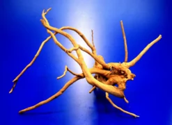 Moorwurzel/Moorkienholz, Gr. S Traumwurzel 20-30cm -Hobby || DENNERLE || Flamingo Verkäufe 4080070AD 1 8