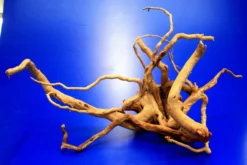 Moorwurzel/Moorkienholz, Gr. M Traumwurzel 30-40cm 11 Moorwurzel/Moorkienholz, Gr. M Traumwurzel 30-40cm -Hobby || DENNERLE || Flamingo Verkäufe 4080075AD 1 10