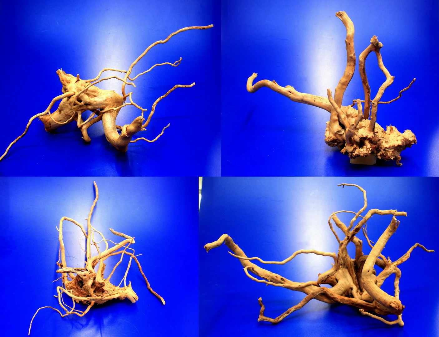 Moorwurzel/Moorkienholz, Gr. M Traumwurzel 30-40cm 3 Moorwurzel/Moorkienholz, Gr. M Traumwurzel 30-40cm