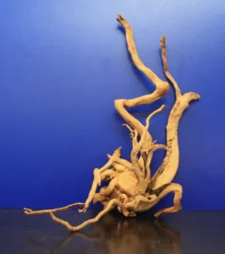 Moorwurzel/Moorkienholz, Gr. L Traumwurzel 40-50cm 10 Moorwurzel/Moorkienholz, Gr. L Traumwurzel 40-50cm -Hobby || DENNERLE || Flamingo Verkäufe 4080080AD 1 6