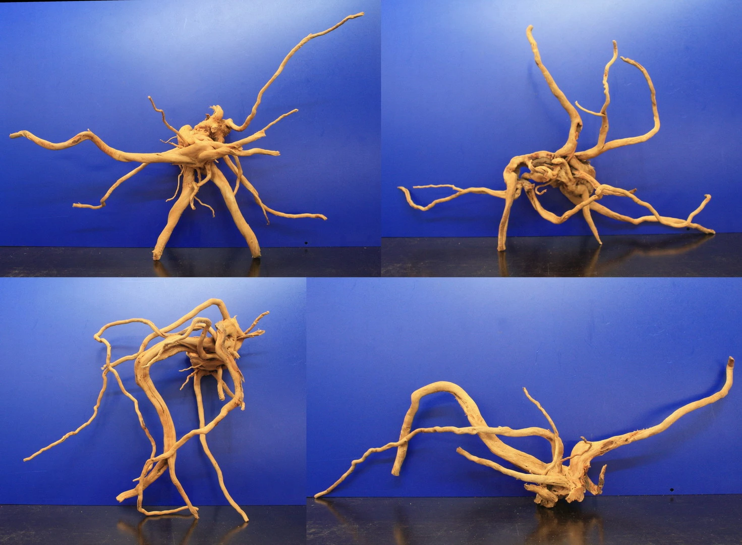 Moorwurzel/Moorkienholz, Gr. XL Traumwurzel 50-60cm 3 Moorwurzel/Moorkienholz, Gr. XL Traumwurzel 50-60cm