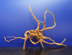 Moorwurzel/Moorkienholz, Gr. XL Traumwurzel 50-60cm 9 Moorwurzel/Moorkienholz, Gr. XL Traumwurzel 50-60cm -Hobby || DENNERLE || Flamingo Verkäufe 4080085AD 1 4