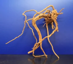 Moorwurzel/Moorkienholz, Gr. XL Traumwurzel 50-60cm 10 Moorwurzel/Moorkienholz, Gr. XL Traumwurzel 50-60cm -Hobby || DENNERLE || Flamingo Verkäufe 4080085AD 1 6