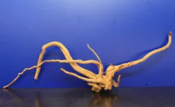 Moorwurzel/Moorkienholz, Gr. XL Traumwurzel 50-60cm 11 Moorwurzel/Moorkienholz, Gr. XL Traumwurzel 50-60cm -Hobby || DENNERLE || Flamingo Verkäufe 4080085AD 1 8