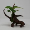 Verschiedenblättriges Speerblatt-Driftwood / Treibholz Mit Anubias Heterophylla 1 Verschiedenblättriges Speerblatt-Driftwood / Treibholz Mit Anubias Heterophylla -Hobby || DENNERLE || Flamingo Verkäufe 40850 3wf 1 1