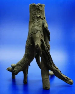 Hobby Detaillierte Stelz-Wurzel Nr. 2, 390x370x280mm Aus Dunklem Kunststoff