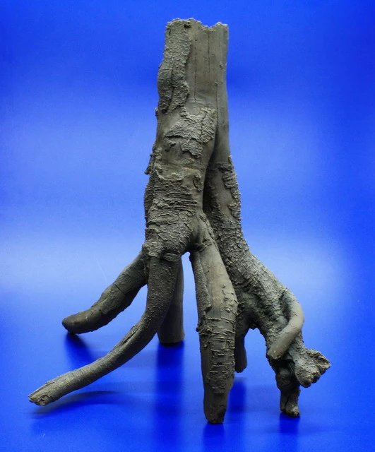 Hobby Detaillierte Stelz-Wurzel Nr. 2, 390x370x280mm Aus Dunklem Kunststoff 4 Hobby Detaillierte Stelz-Wurzel Nr. 2, 390x370x280mm Aus Dunklem Kunststoff – Bild 2