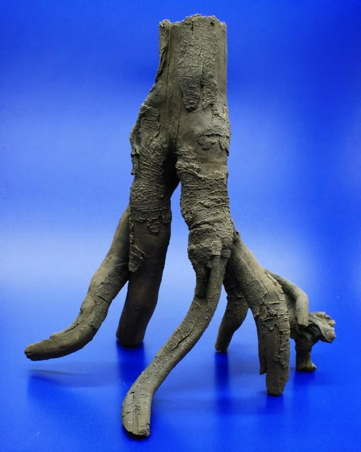 Hobby Detaillierte Stelz-Wurzel Nr. 2, 390x370x280mm Aus Dunklem Kunststoff 5 Hobby Detaillierte Stelz-Wurzel Nr. 2, 390x370x280mm Aus Dunklem Kunststoff – Bild 3