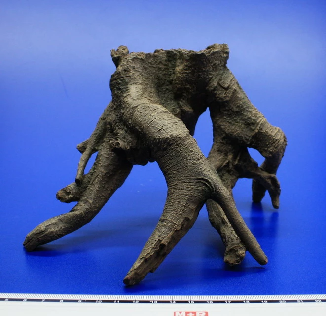 Hobby Rückwand-Wurzel Nr. 1, 140x210x160mm Aus Dunklem Kunststoff 4 Hobby Rückwand-Wurzel Nr. 1, 140x210x160mm Aus Dunklem Kunststoff – Bild 2