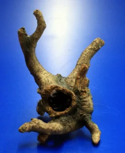 Hobby Urwaldbaum Mit Höhle / Regenwaldbaum Ca. 21x18x14cm, Mit Vielen Kleinen Details 8 Hobby Urwaldbaum Mit Höhle / Regenwaldbaum Ca. 21x18x14cm, Mit Vielen Kleinen Details -Hobby || DENNERLE || Flamingo Verkäufe 41550HO 1 6