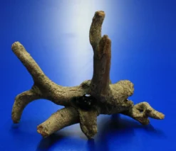 Hobby Urwaldbaum Mit Höhle / Regenwaldbaum Ca. 21x18x14cm, Mit Vielen Kleinen Details 9 Hobby Urwaldbaum Mit Höhle / Regenwaldbaum Ca. 21x18x14cm, Mit Vielen Kleinen Details -Hobby || DENNERLE || Flamingo Verkäufe 41550HO 1 8