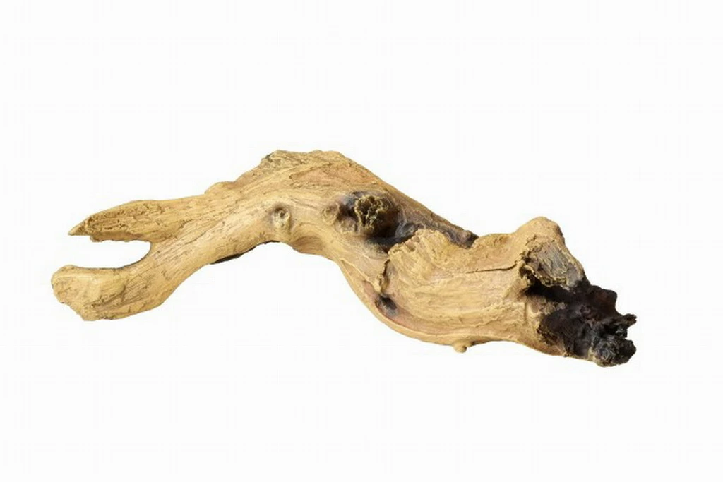 Aqua Della Mopani Wood 3 3 Aqua Della Mopani Wood 3