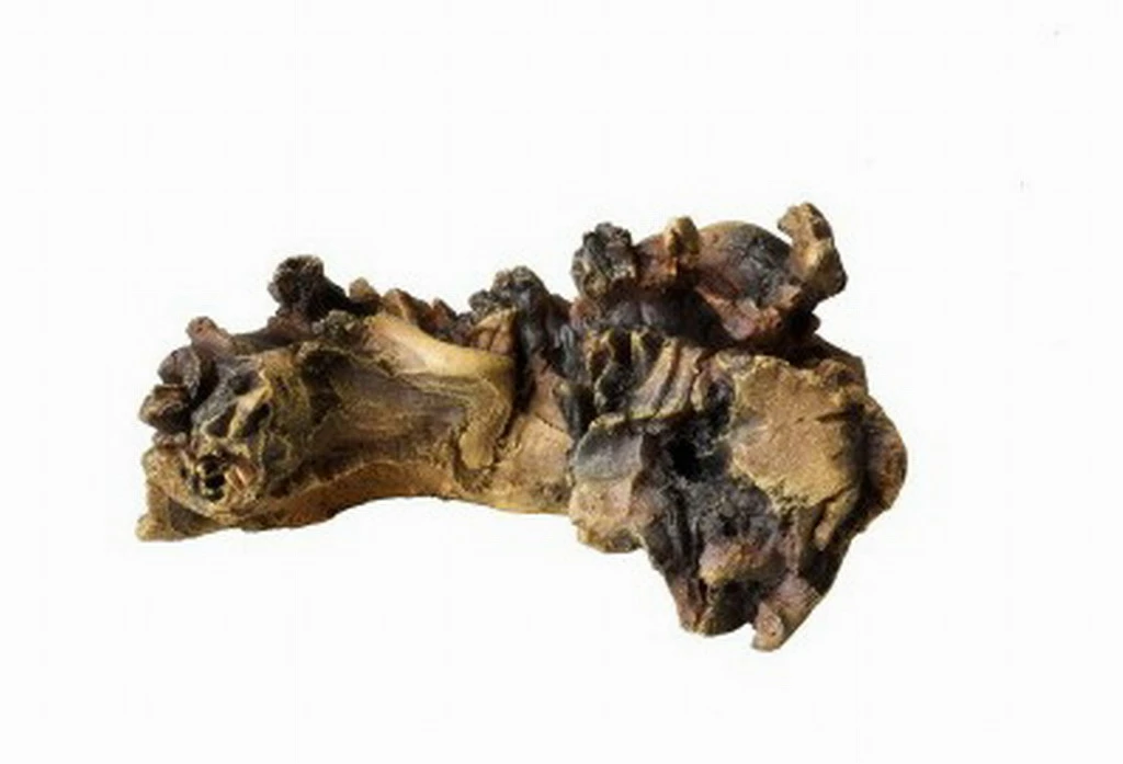 Aqua Della Mopani Wood 4 3 Aqua Della Mopani Wood 4