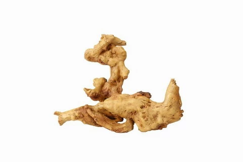 Aqua Della Coffee Root 2 3 Aqua Della Coffee Root 2