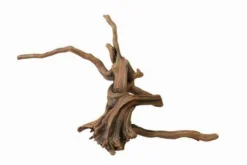 Aqua Della Driftwood 3