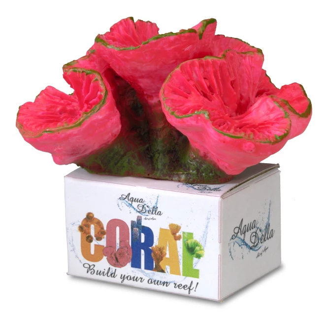 Hirnkoralle, Open Brain Coral M, Ca. 11 X 9 X 8 Cm 3 Hirnkoralle, Open Brain Coral M, Ca. 11 X 9 X 8 Cm