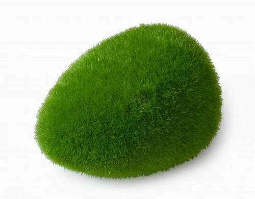 Moss Ball - L - Ca. 11,5x9x6 Cm 3 Moss Ball - L - Ca. 11,5x9x6 Cm