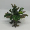 Bucephalandra -Bäumchen Mit Baumkrone / Urwaldbaum NANO Mit Bucephalandra 2 Bucephalandra -Bäumchen Mit Baumkrone / Urwaldbaum NANO Mit Bucephalandra -Hobby || DENNERLE || Flamingo Verkäufe 426753 2wf 1 1