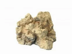 Aqua Della Fossilized Wood D - Künstliches Versteinertes Holz