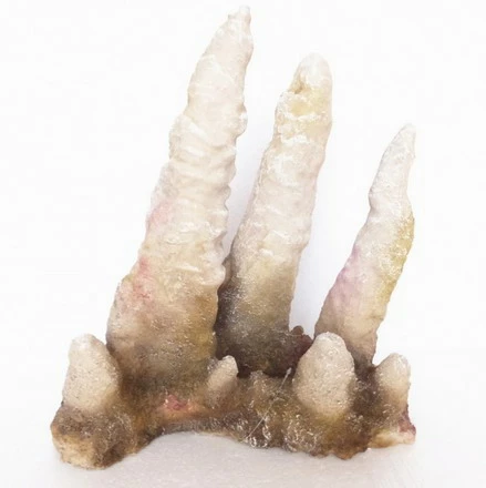 Stalagmite - L - Ca. 31,5x19,5x35cm 3 Stalagmite - L - Ca. 31,5x19,5x35cm