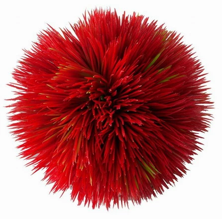 Plant Ball - Red - Ca.11 X 11 X 11 Cm 3 Plant Ball - Red - Ca.11 X 11 X 11 Cm