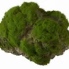 Moss Stone - L - Ca. 17 X 11 X 13,5 Cm - Mit Saugnapf 1 Moss Stone - L - Ca. 17 X 11 X 13,5 Cm - Mit Saugnapf -Hobby || DENNERLE || Flamingo Verkäufe 430170Ep 1