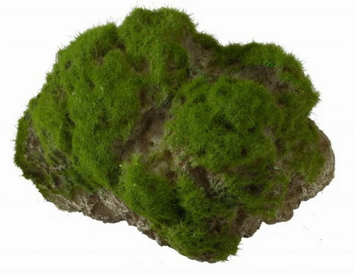 Moss Stone - L - Ca. 17 X 11 X 13,5 Cm - Mit Saugnapf 3 Moss Stone - L - Ca. 17 X 11 X 13,5 Cm - Mit Saugnapf