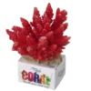 Rote Acropora Koralle, Steinkoralle Ca. 11,5 X 10,5 X 9cm -Hobby || DENNERLE || Flamingo Verkäufe 431214Ep 1 2