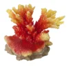 Orange Acropora Koralle, Steinkoralle Ca. 11,5 X 8,5 X 9,5 Cm 2 Orange Acropora Koralle, Steinkoralle Ca. 11,5 X 8,5 X 9,5 Cm -Hobby || DENNERLE || Flamingo Verkäufe 431375Ep 1 2