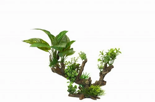 Flora Scape 5 - XL - Ca. 33,5x16x27,5 Cm 3 Flora Scape 5 - XL - Ca. 33,5x16x27,5 Cm