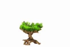 Flora Scape 11 - M - Ca. 22x19x23,5 Cm