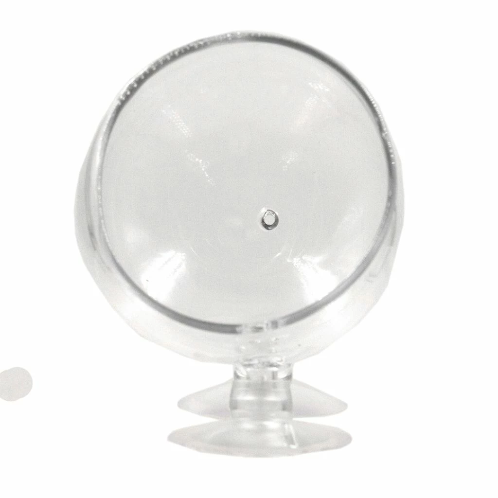 Pflanzenschale Aus Kristallklarem Glas 6 Pflanzenschale Aus Kristallklarem Glas – Bild 4