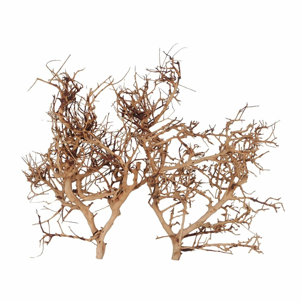 Thailand Zweig / Wurzel - L - 35-45cm 3 Thailand Zweig / Wurzel - L - 35-45cm