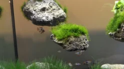 Schwebende Steine Größe: L / Floating Stone 25-30cm