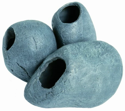 SF Fish Cave 3 3 SF Fish Cave 3