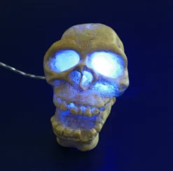 ARCADIA Totenkopf Weiß Mit Einsatz Für LED-Aquarienstrahler -Hobby || DENNERLE || Flamingo Verkäufe CAD25WAF 1 3