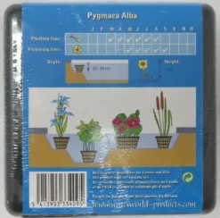 Anzucht-Set Weiße Zwerg-Seerose / Nymphaea Pygmaea Alba (tetragona) Miniseerose 7 Anzucht-Set Weiße Zwerg-Seerose / Nymphaea Pygmaea Alba (tetragona) Miniseerose -Hobby || DENNERLE || Flamingo Verkäufe GT2010wf 1 3