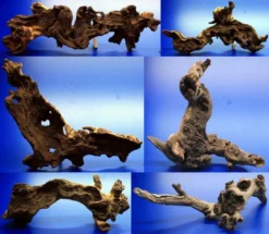 Mopani-Wurzel Nano 15-20 Cm / Eisenholz Zwei-farbig Gr.S