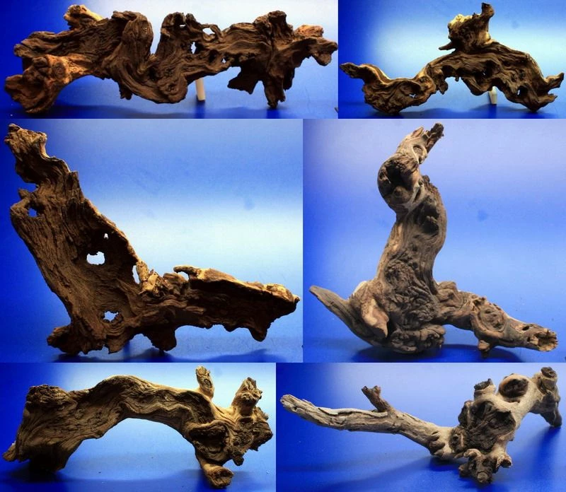 Mopani-Wurzel 40-50 Cm / Eisenholz Zwei-farbig Gr.XL 3 Mopani-Wurzel 40-50 Cm / Eisenholz Zwei-farbig Gr.XL