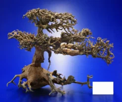 Aqua-Bonsai Wurzel Medium - Aquascaping Drachenbaum Traumwurzel Mittel 11 Aqua-Bonsai Wurzel Medium - Aquascaping Drachenbaum Traumwurzel Mittel -Hobby || DENNERLE || Flamingo Verkäufe PH065 AO 1 7 3
