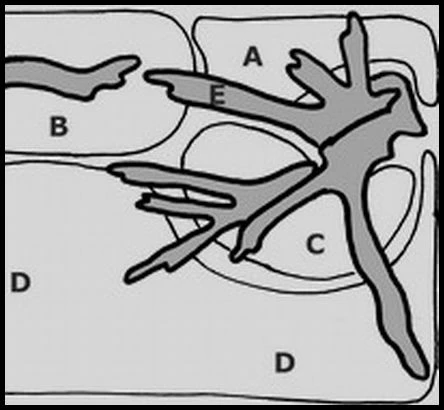 Unterwasser-Landschaft Moosbogen Für 30 Liter Nano Cube 3 Unterwasser-Landschaft Moosbogen Für 30 Liter Nano Cube
