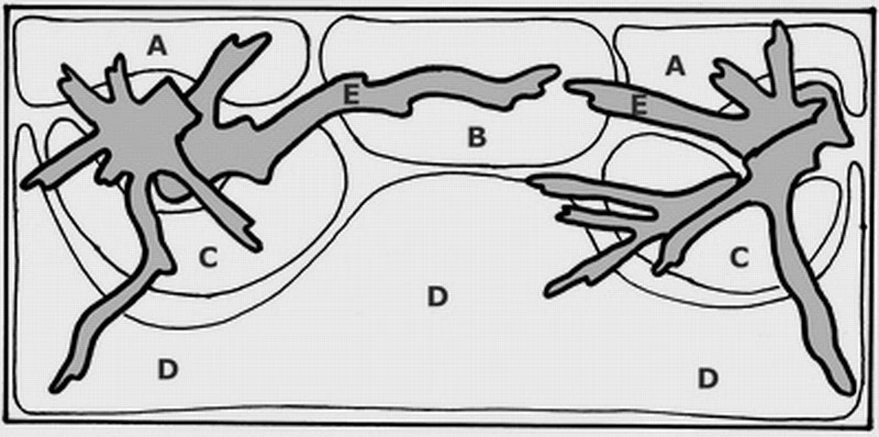 Unterwasser-Landschaft Moosbrücke Für 200 Liter Aquarium 4 Unterwasser-Landschaft Moosbrücke Für 200 Liter Aquarium – Bild 2
