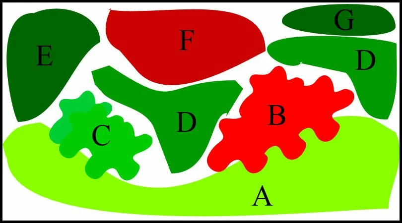 Unterwasser-Landschaft Lotuswelt Für Ein 100 Liter Aquarium 4 Unterwasser-Landschaft Lotuswelt Für Ein 100 Liter Aquarium – Bild 2