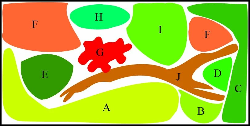 Unterwasser-Landschaft Diskus-Traum Für Ein 300 Liter Aquarium 3 Unterwasser-Landschaft Diskus-Traum Für Ein 300 Liter Aquarium